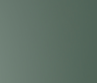 Color Icon